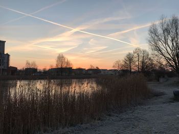 Bare trees against sky during sunset