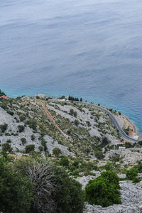 High angle view of trees on beach