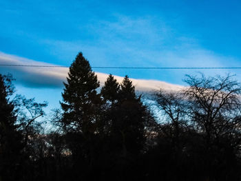 Low angle view of silhouette trees against sky