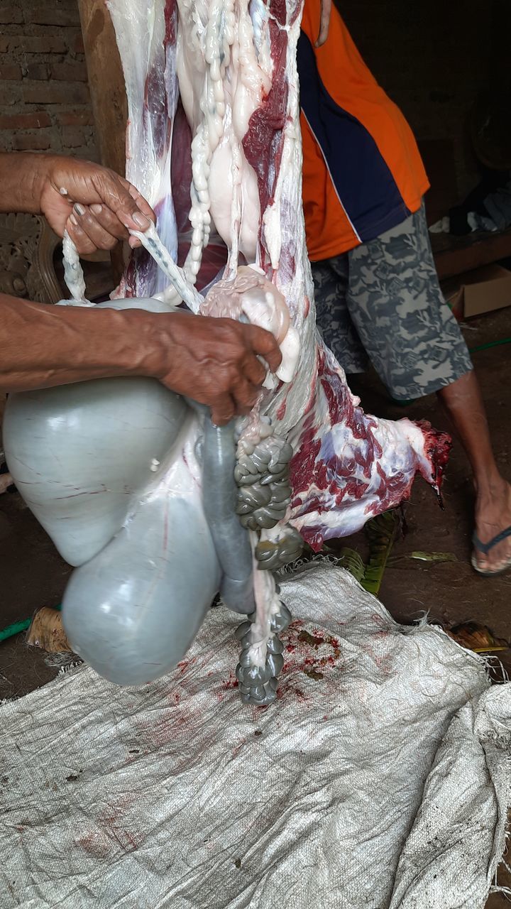 slaughterhouse, occupation, adult, working, indoors, business, butcher, men