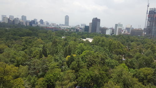 Trees and cityscape against sky