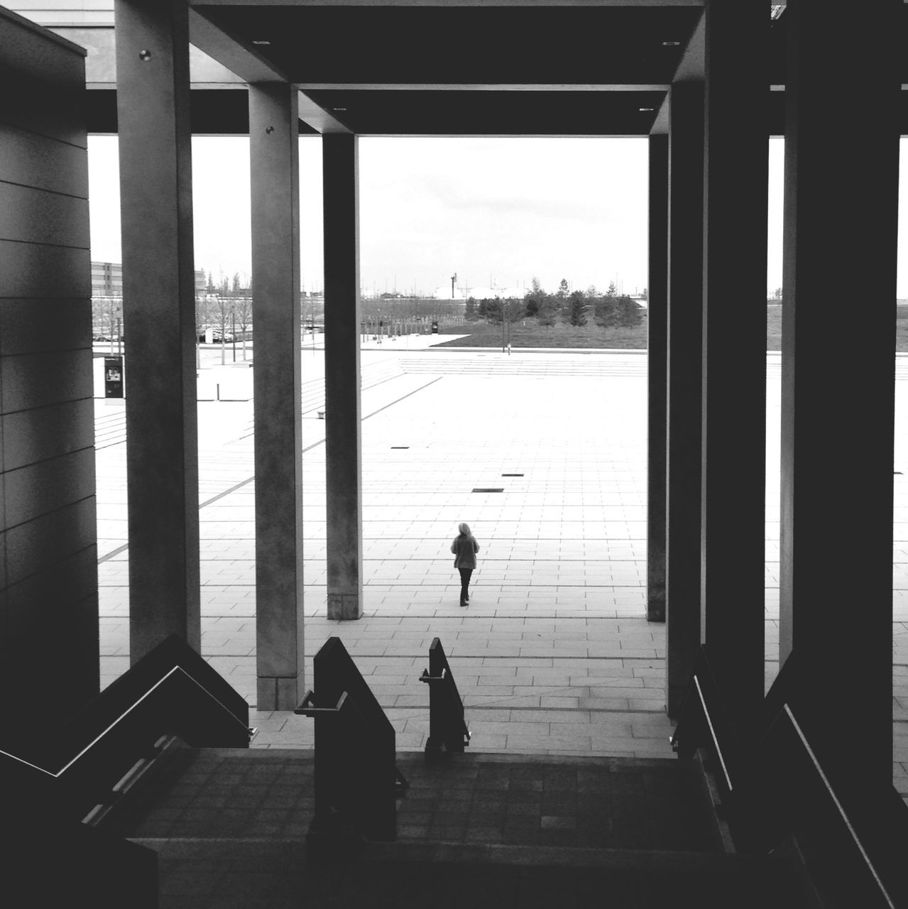 indoors, silhouette, built structure, window, architecture, water, glass - material, animal themes, men, railing, rear view, sea, full length, transparent, sitting, sky, one animal, person