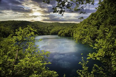 Scenic view of lake in forest against sky