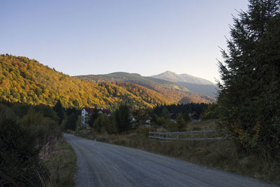 Road amidst trees against sky during autumn