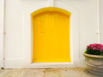 Yellow flowers against door