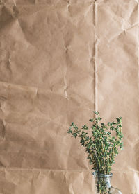 Fresh plant in vase against patterned brown paper