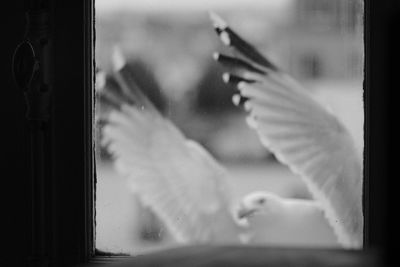 Low angle view of woman looking through window