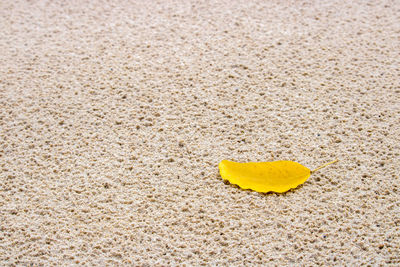 Close-up of yellow sand on beach