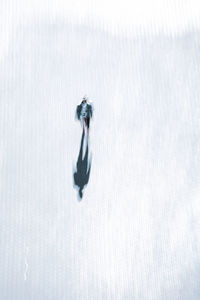 High angle view of person in snow