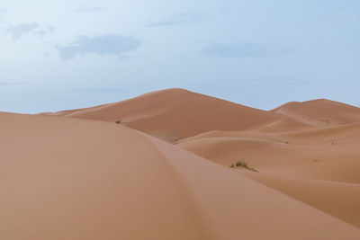 Sand dunes in a desert