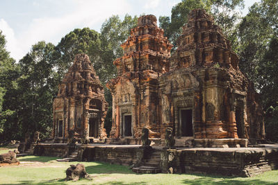 Trees in a temple