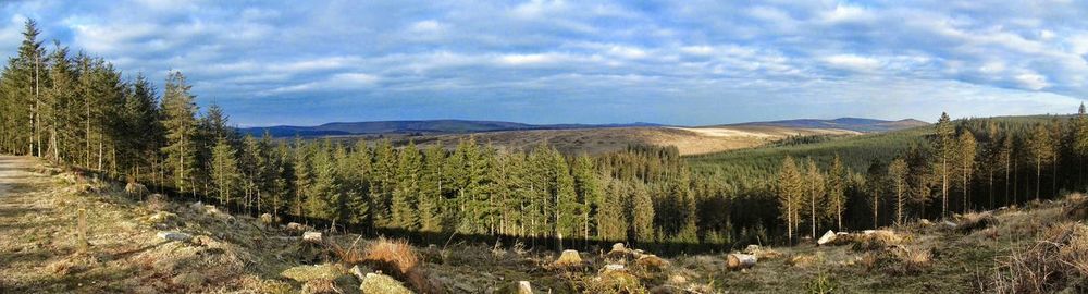 Panoramic view of landscape against sky