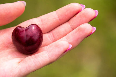 Close-up of hand holding fruit