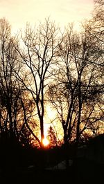 Silhouette bare trees against sky during sunset