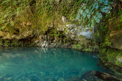 Scenic view of waterfall