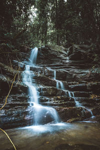 View of waterfall in forest
