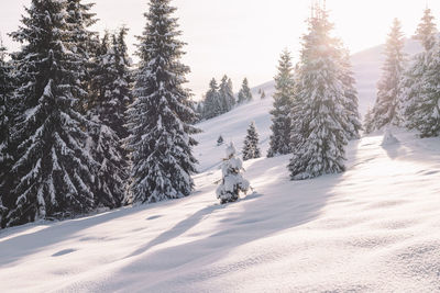 People skiing on snow covered landscape