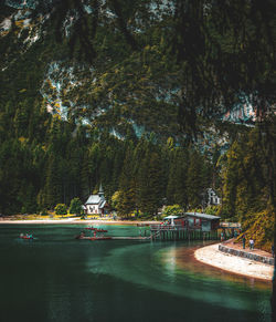 Scenic view of river by trees and plants