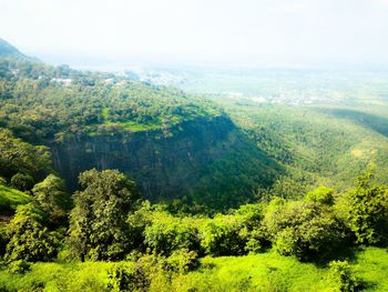 Scenic view of green landscape