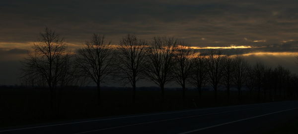 Bare trees on landscape against cloudy sky at dusk