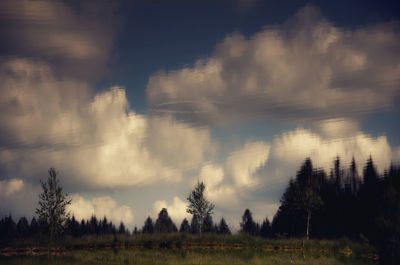 Panoramic view of trees on field against sky