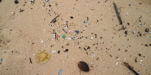 Microplastic beach 