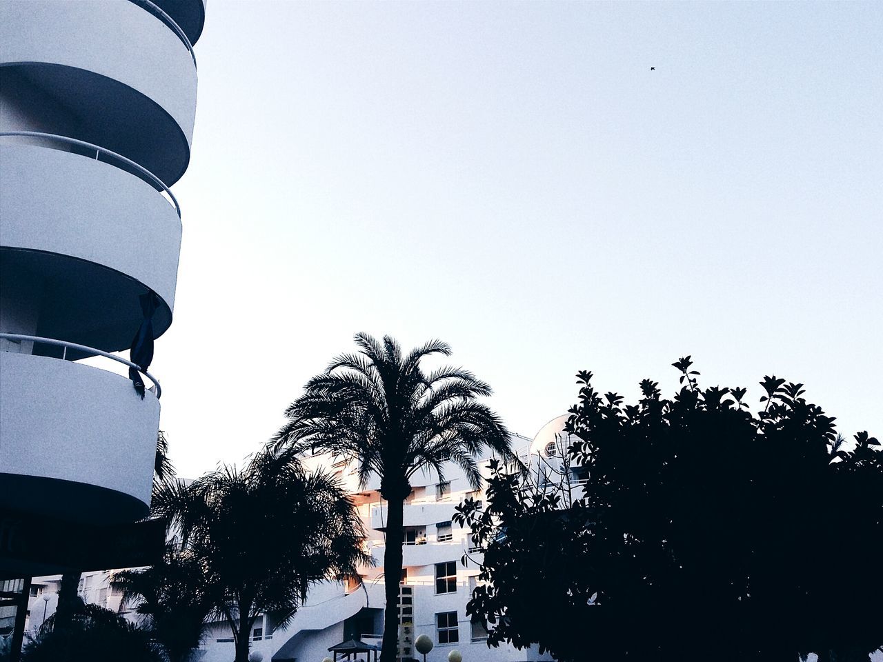 low angle view, tree, building exterior, clear sky, architecture, built structure, copy space, growth, city, sky, building, outdoors, branch, day, high section, street light, no people, nature, silhouette, residential structure