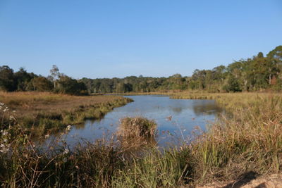 Scenic view of lake against clear sky