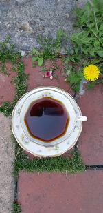 High angle view of coffee on flowering plant