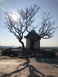 Bare tree by historic building against sky