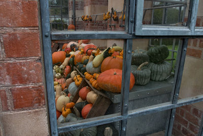 Squashes decoration seen through window glass at tyntesfield