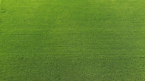 Full frame shot of green field