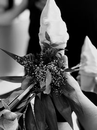 Close-up of hand holding flower