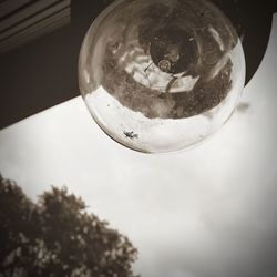 Low angle view of crystal ball hanging on glass