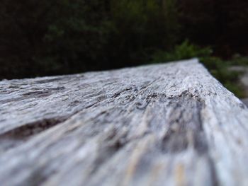 Close-up of wooden bench