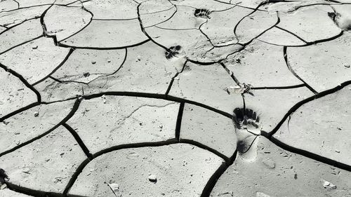 High angle view of cracked field
