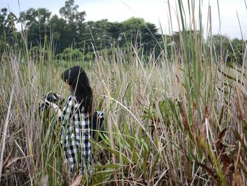 Bird perching on grass in field