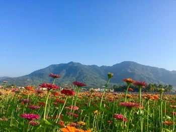 Scenic view of mountains against clear sky