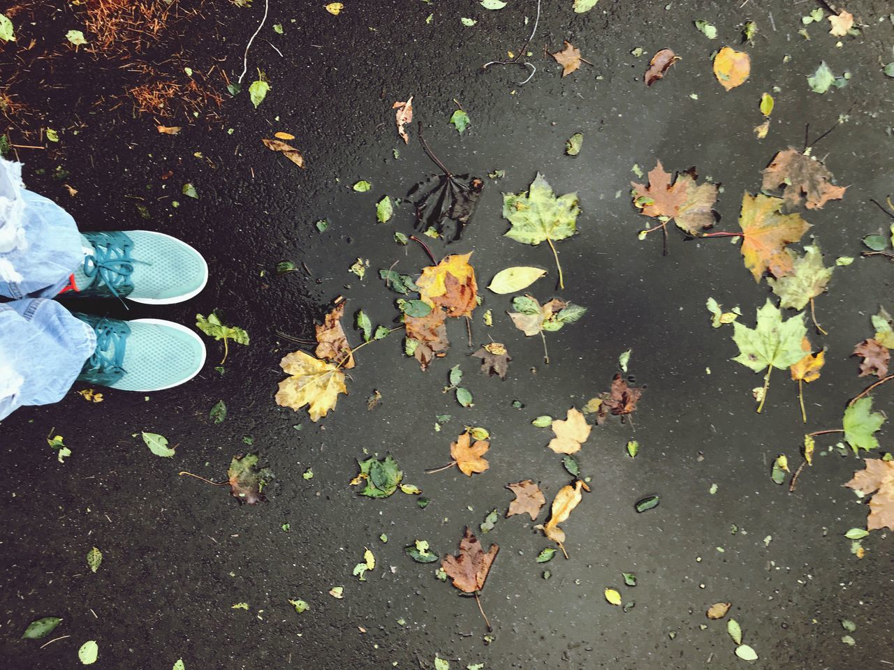 leaf, autumn, change, leaves, low section, human leg, one person, high angle view, real people, shoe, outdoors, fallen, day, human body part, nature, standing, men, lifestyles, women, maple leaf, beauty in nature, close-up, adult, people