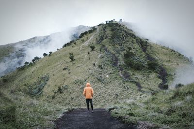 Rear view of man standing by green mountain