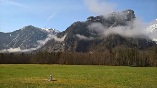 Scenic view of grassy field against sky