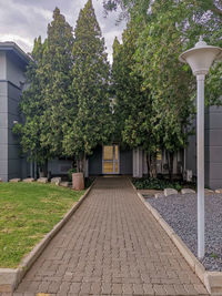 Street amidst trees and building