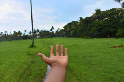 Cropped image of person hand on grassy field against trees
