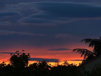 Silhouette trees against dramatic sky during sunset