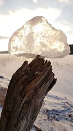 Close-up of driftwood on wooden post in snow