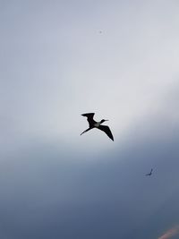 Low angle view of silhouette bird flying against clear sky