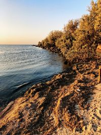 Scenic view of sea against clear sky