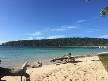 Scenic view of beach against blue sky