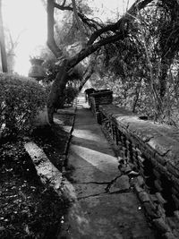 Footpath in park