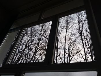 Low angle view of bare trees seen through window of building